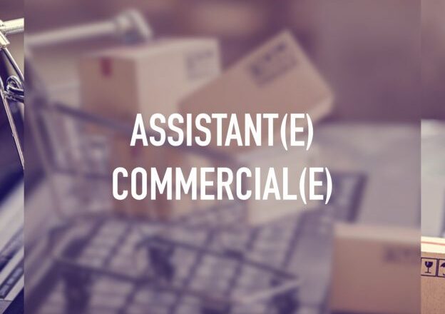 Assistante-Commerciale-624x624