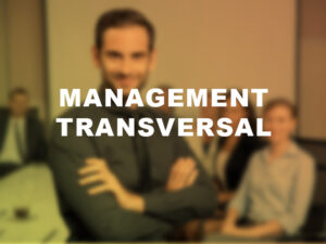 formation-management-transversal