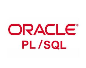 Oracle : Les fondamentaux du langage PL/SQL